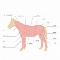 馬肉大好き！の画像