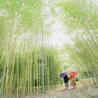 和装婚がいい❣️の画像