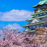 大阪住みの画像