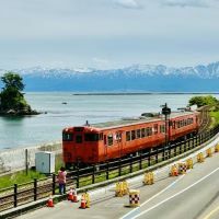 電車が好きですの画像