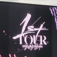 櫻坂46が好きですの画像