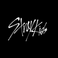 straykidsが好きの画像