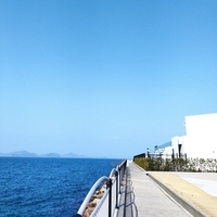 海と空の画像