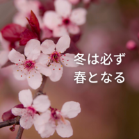 冬は必ず春となるの画像