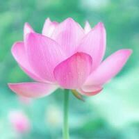 心こそ大切なれの画像